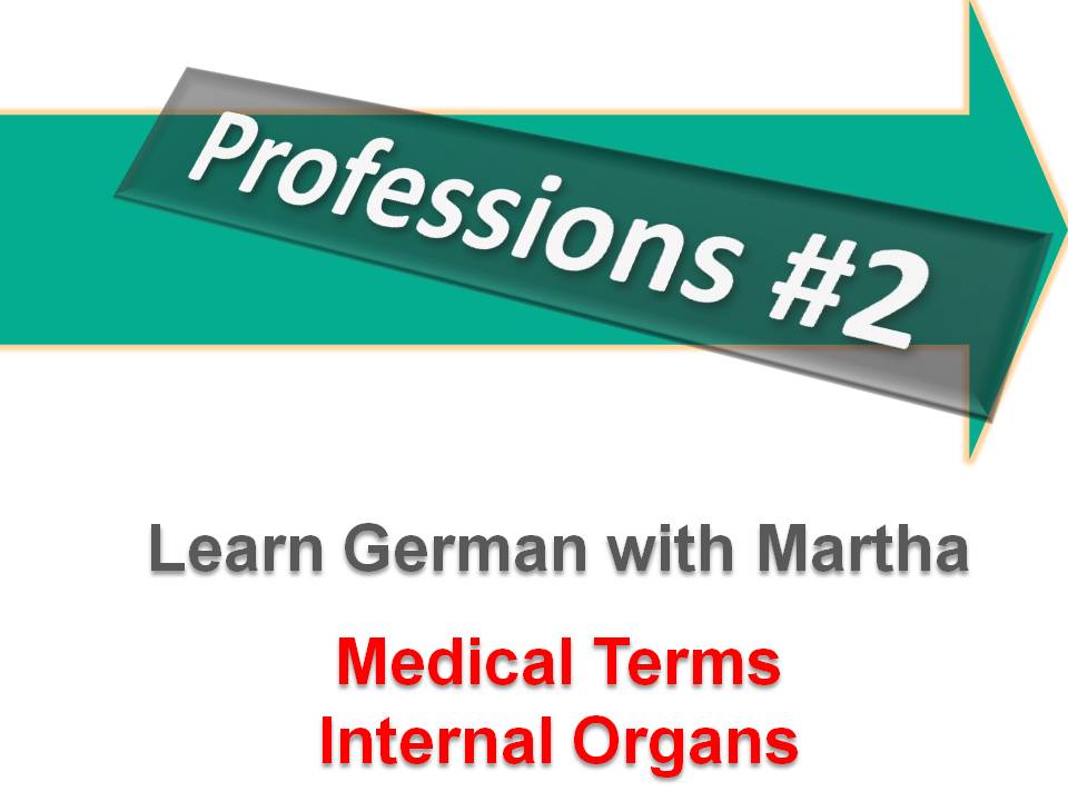 Professions 2 - Medical Terms - Internal Organs - Deckblatt